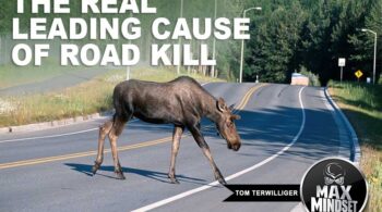 Tom Terwilliger | Max Mindset | High Achievers University | The Leading Cause of Road Kill