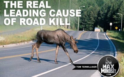 Tom Terwilliger | Max Mindset | High Achievers University | The Leading Cause of Road Kill